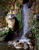 Zilker Botanical Garden-3