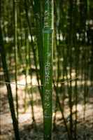 Beijing 2004-15.jpg
