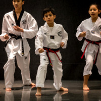 Alfredo Lopez-Taekwondo-4