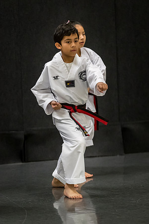 Alfredo Lopez-Taekwondo-1