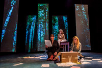 The Fault-5