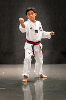 Alfredo Lopez-Taekwondo-15