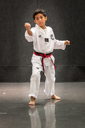 Alfredo Lopez-Taekwondo-15