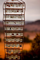 Benini-Ranch Jan-2009-4.jpg