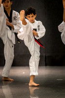 Alfredo Lopez-Taekwondo-9