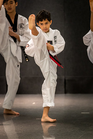 Alfredo Lopez-Taekwondo-9