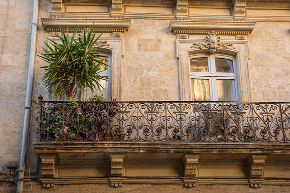 Montpellier 2014-35