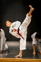 Alfredo Lopez-Taekwondo-10