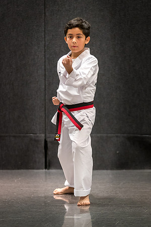 Alfredo Lopez-Taekwondo-13