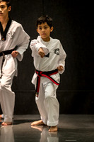 Alfredo Lopez-Taekwondo-3