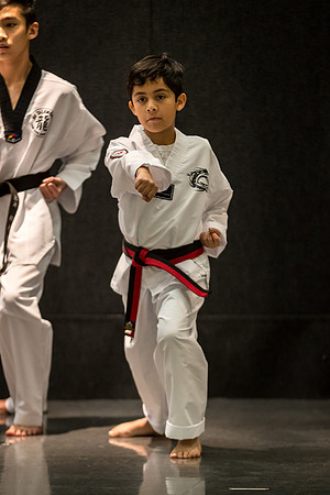 Alfredo Lopez-Taekwondo-3