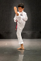 Alfredo Lopez-Taekwondo-16