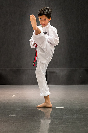 Alfredo Lopez-Taekwondo-16