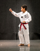 Alfredo Lopez-Taekwondo-12