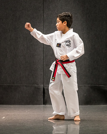 Alfredo Lopez-Taekwondo-12