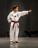 Alfredo Lopez-Taekwondo-11