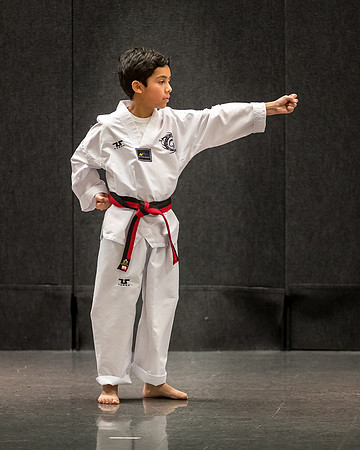 Alfredo Lopez-Taekwondo-11