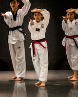 Alfredo Lopez-Taekwondo-7