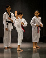 Alfredo Lopez-Taekwondo-8