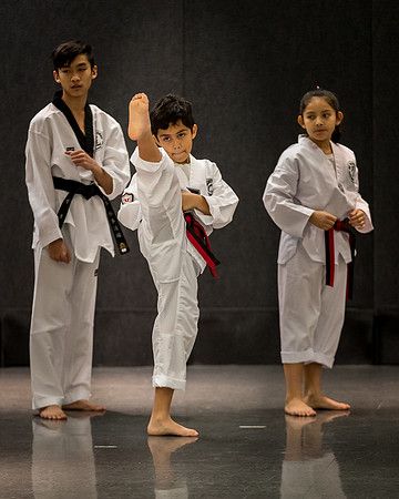 Alfredo Lopez-Taekwondo-8