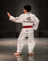 Alfredo Lopez-Taekwondo-19