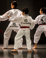 Alfredo Lopez-Taekwondo-6