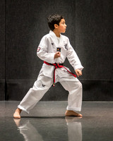 Alfredo Lopez-Taekwondo-49