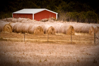 Red Barn.jpg