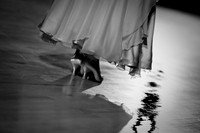 dance, dance, dance ...