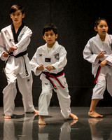 Alfredo Lopez-Taekwondo-5