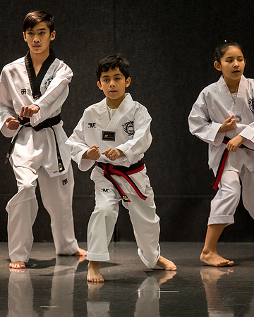 Alfredo Lopez-Taekwondo-5