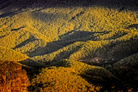 Sydney - Blue Mountains-23