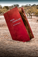 Benini-Ranch Jan-2009-3.jpg