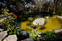 Zilker Botanical Garden