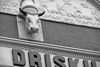Cattle or Driskill?